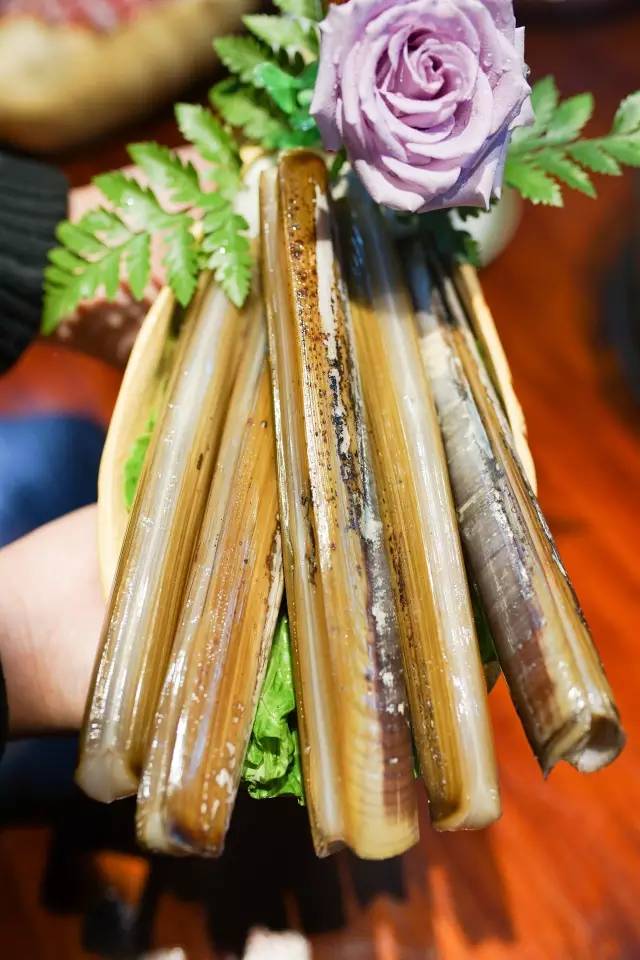 闇插彴澶氳倝鑺卞洯椁愬巺,澶氳倝妞嶇墿椁愬惂