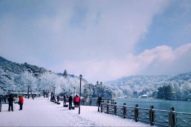 武汉到北京旅游团有哪些景点免费,武汉到贵州旅游团纯玩团