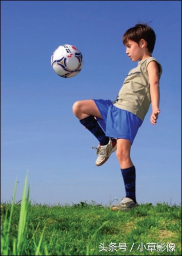 录像基础知识入门构图,入门单反拍照构图技巧