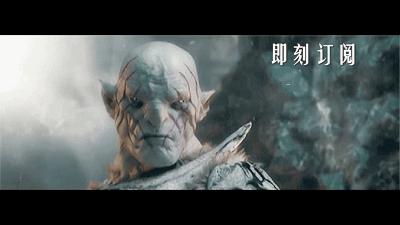 荷兰猪为什么这么胖,荷兰猪怎么一直吃东西