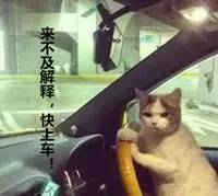 共享汽车深圳,共享汽车上市