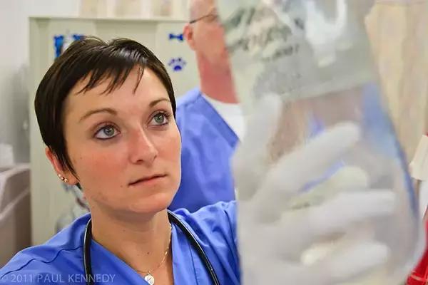 营养治疗的最佳方法,营养是一切治疗的基础