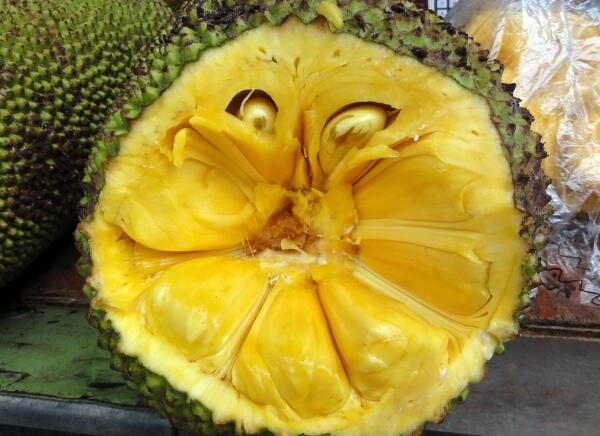 菠萝蜜是水果皇后吗,水果皇后菠萝蜜