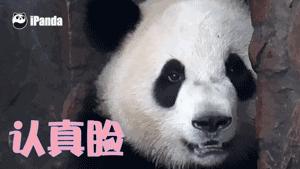 2020年泉州房价趋势,泉州城东冠亚凯旋门现在房价多少