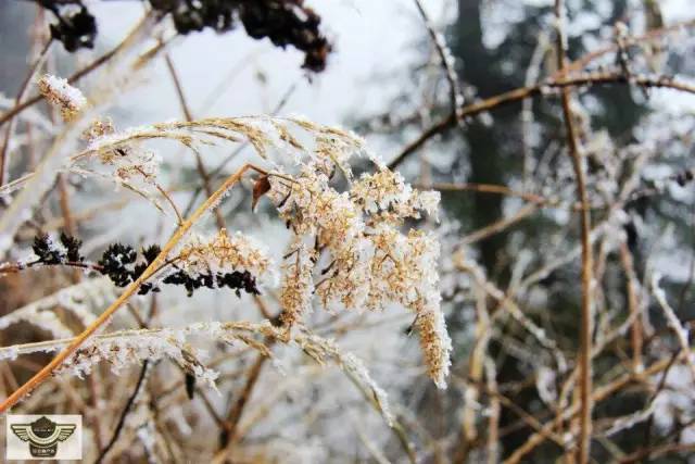 成都夏季适合徒步登山,成都初级雪山徒步