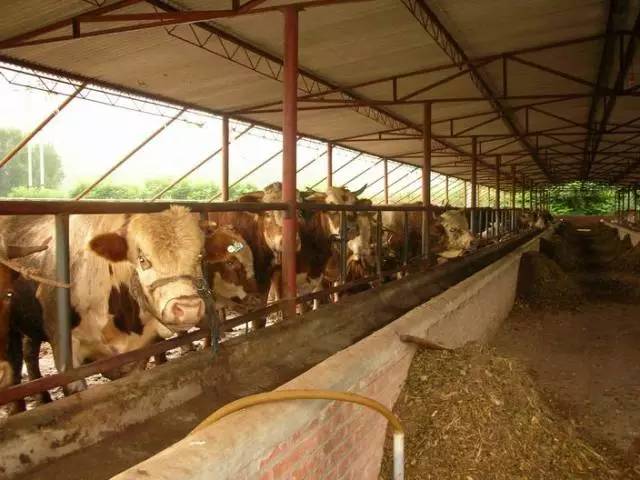 中年妇女转行年赚100万,这次重新创业能有收获吗