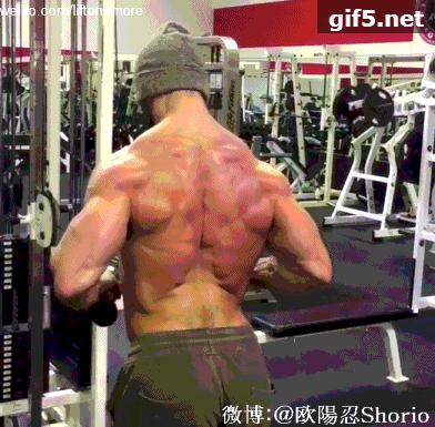 背部最佳增肌训练排行表,背部增肌徒手训练方法