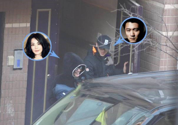 王菲谢霆锋直播完整,王菲演唱会用vr直播