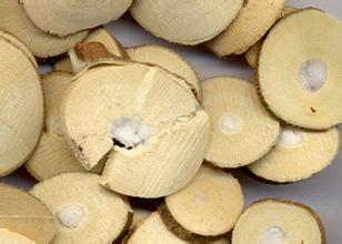 桑树全身都是药材,桑树哪些部位可以入药及功效