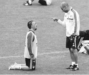 狗狗为什么会吃耳朵,狗狗为什么会吃鸡食