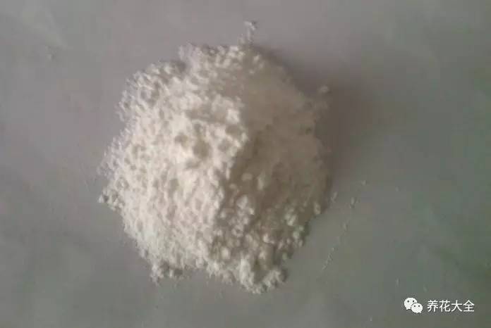 雪水、食盐、白糖、维生素，能让花枝繁叶茂，你信不信？