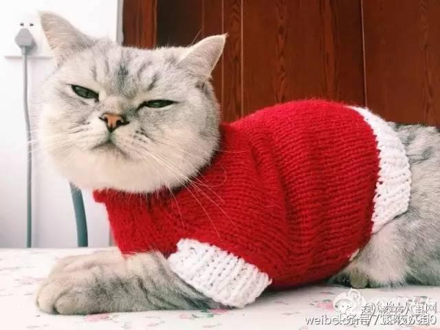 又到一年圣诞节,又到圣诞节了大家怎么看