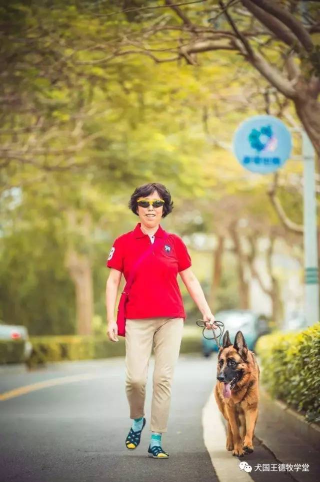 刘阿姨德牧,福多多德牧