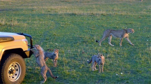 海外旅游陷阱,境外游必须知道的5件事