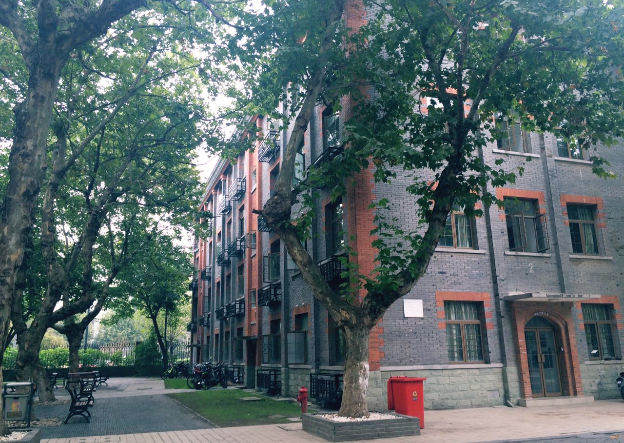 遇见南艺——关于爱与行走和青春