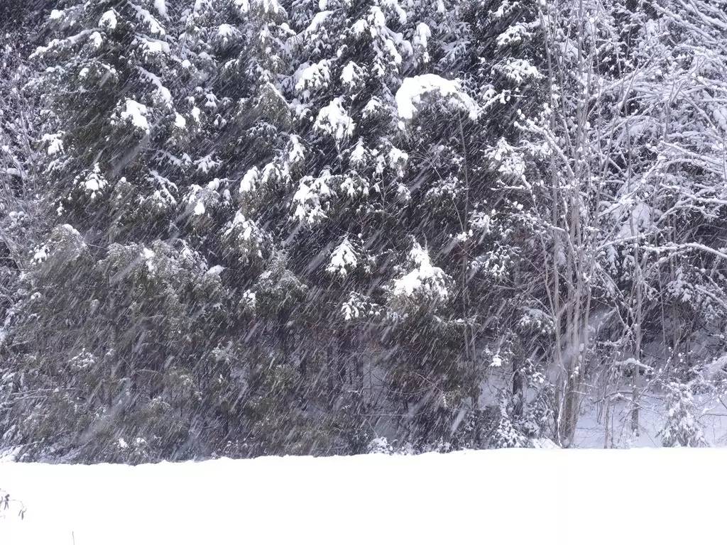 越野滑雪有什么优点,越野滑雪深度解析