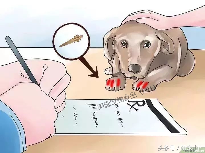 怎样预防狗狗得螨虫病,所有的狗狗都有病毒吗