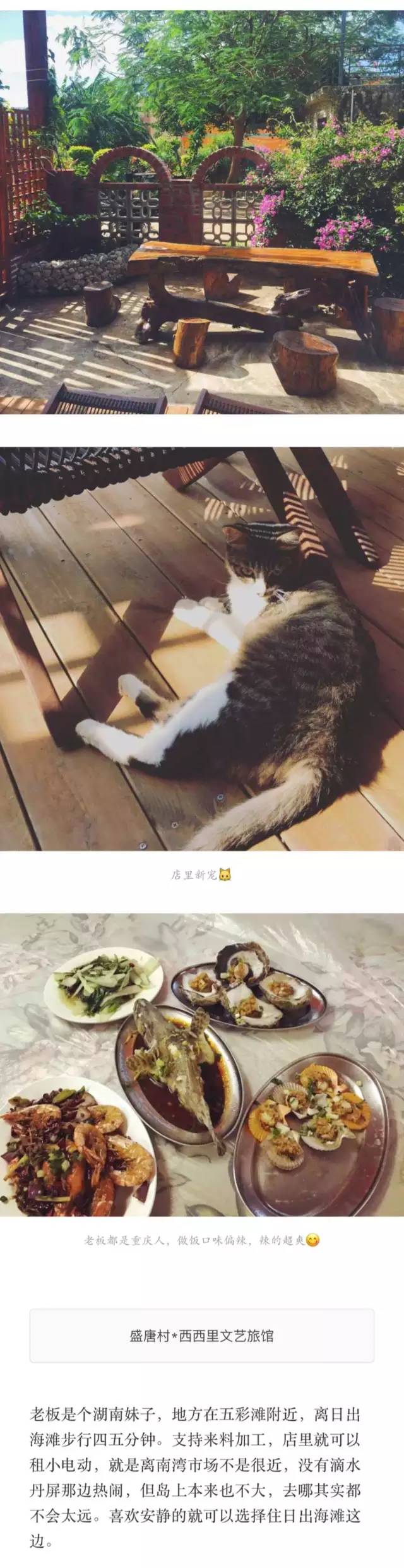 最全攻略实测揭秘不看后悔,攻略超详细