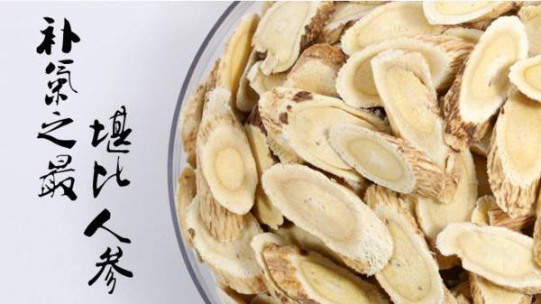 补药之王黄芪,被誉为补药之长的黄芪