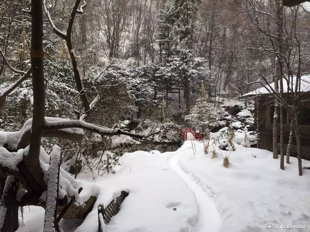 最受日本人喜欢的城市,最受日本人欢迎的景点