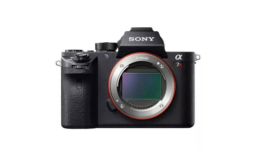 我找来5位很会花钱的好朋友,分享了她们的年度最爱清单!