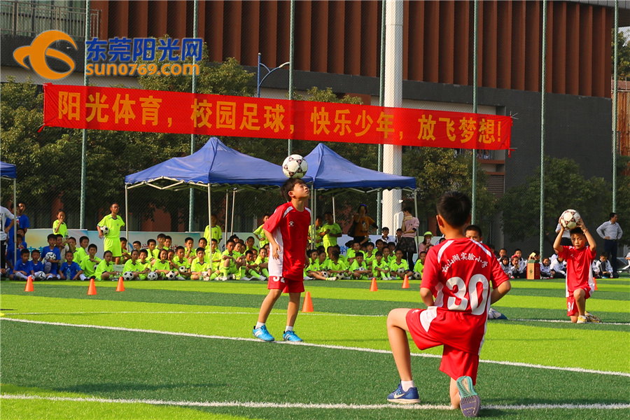 不说不知道！东莞校园足球原来那么牛！连专家都说整体水平可进省前五！