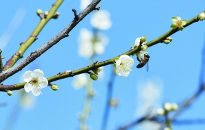 六号线途经景点,6号线直达两处