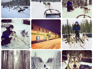 北欧挪威之旅合集,冬季北欧四国游