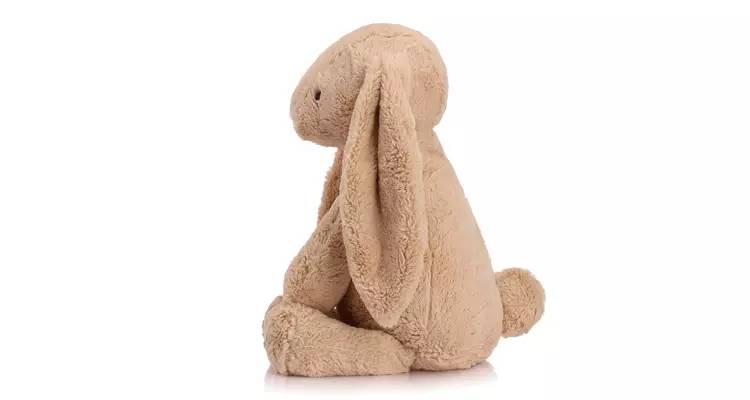 瀹夊埄骞村害鐩涗細,瀹夊埄澶т細鍗曞搧绾㈣壊