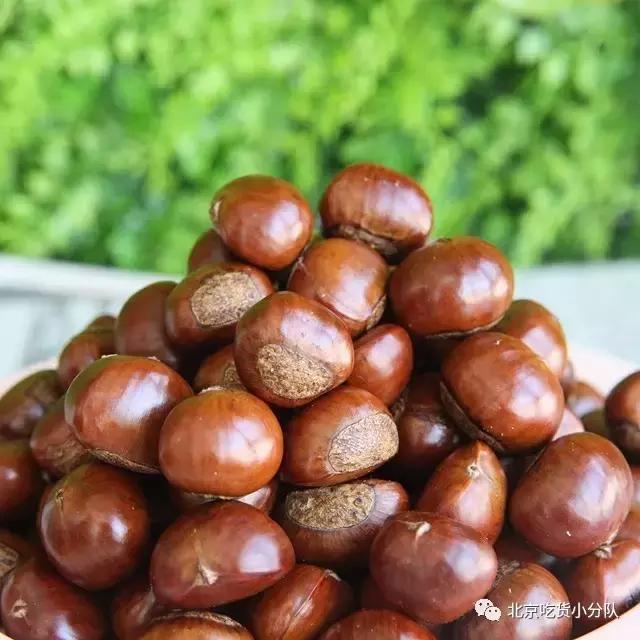 这栗子，姥爷从北四环也要来排队买