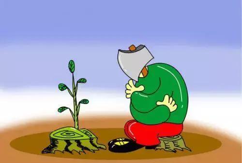 平行进口车到底值不值得买呢,平行进口车一般多少钱一辆