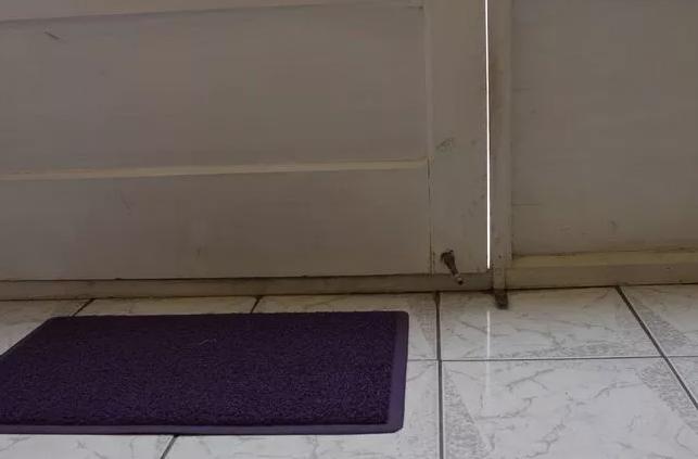 家里老鼠多灭老鼠最好的方法,老鼠怎样消灭