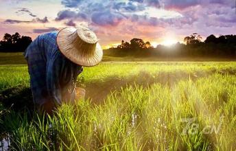 年赚30W起适合农村的创业项目，抓住这些商机让你少奋斗十年