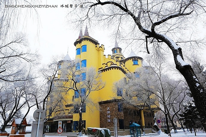 哈尔滨太阳岛的冬天照片,哈尔滨太阳岛的冬天有多美