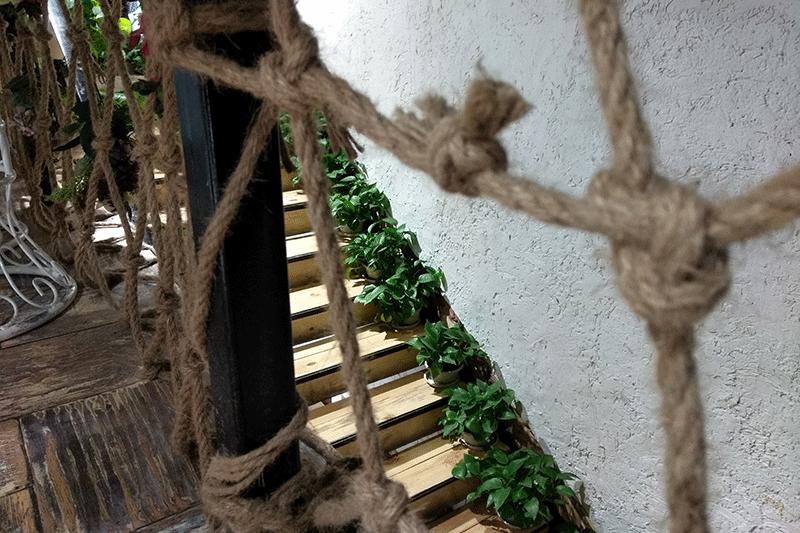 酷派改变者s1拆解,酷派改变者1C什么屏幕