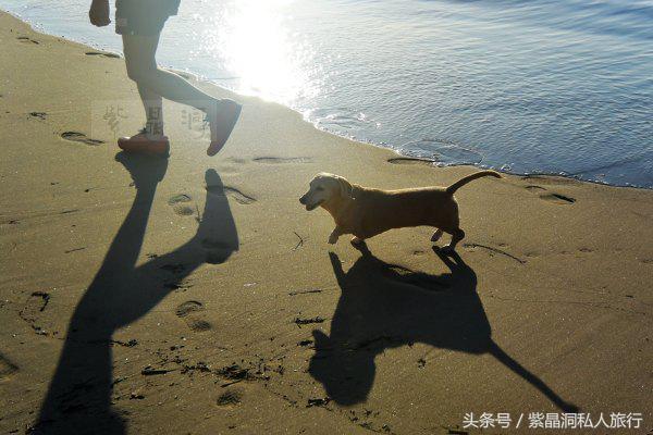 大江户温泉上海大场,日本热海大江户温泉