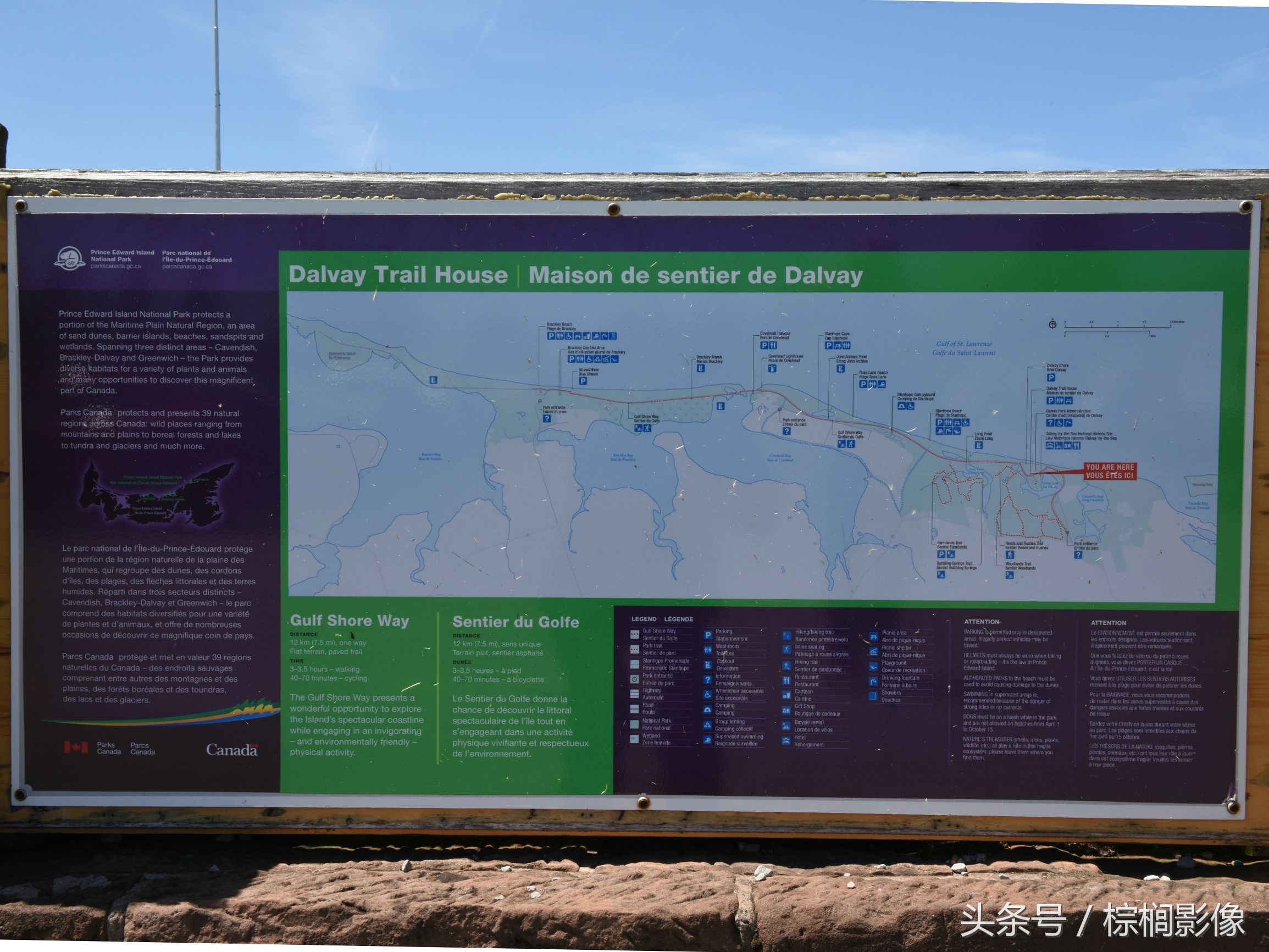 鐖卞痉鍗庣帇瀛愬矝鏈夋病鏈夊畨濡繖涓汉,鐖卞痉鍗庣帇瀛愬矝瀹夊Ξ灏忓眿鍦板潃