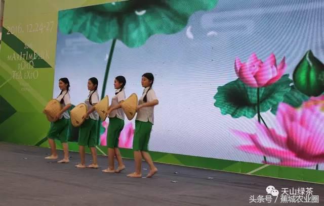 绿茶赏茶表演,福鼎白茶茶艺表演