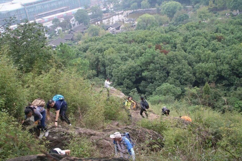 元旦一日线活动丨12.31宜兴听风观竹海，1.1挑战灵树线
