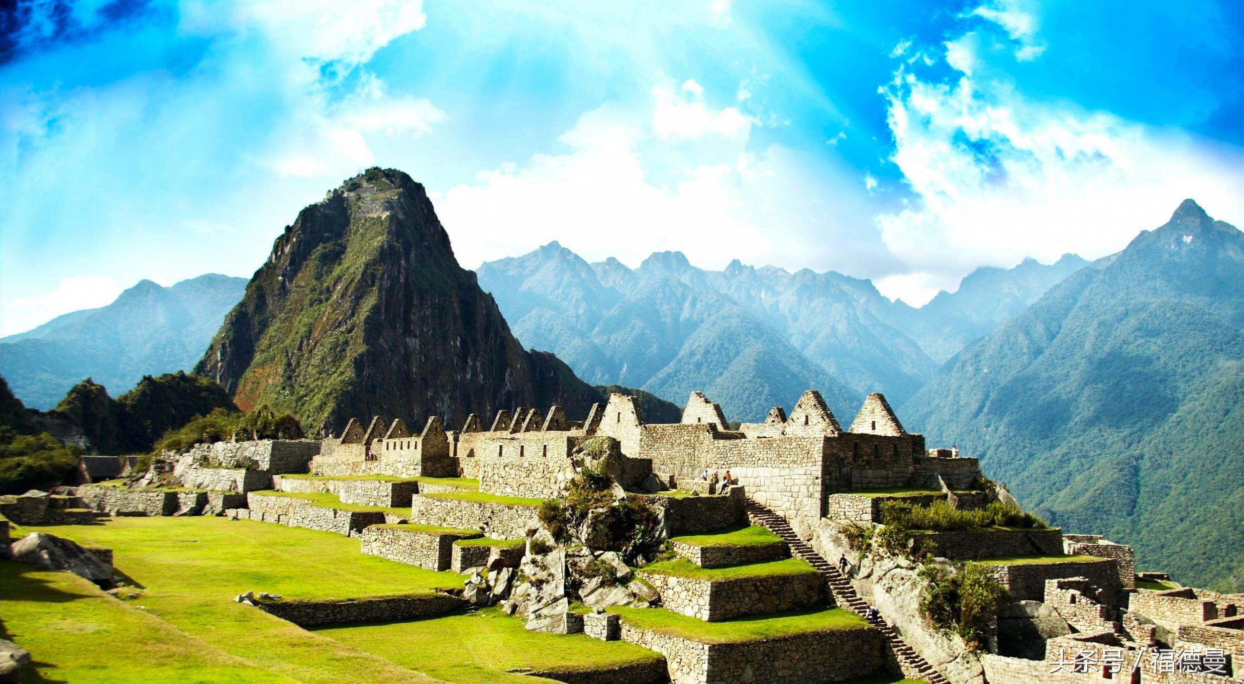 藜麦超级食物,正宗藜麦