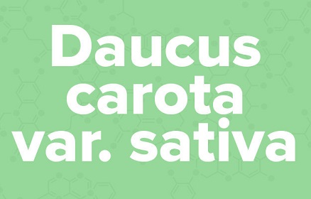 苹果的英文不是apple,苹果的英文发音是apple还是apple