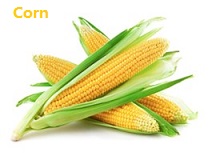 apple苹果的英语是什么,苹果的英语为什么是anapple