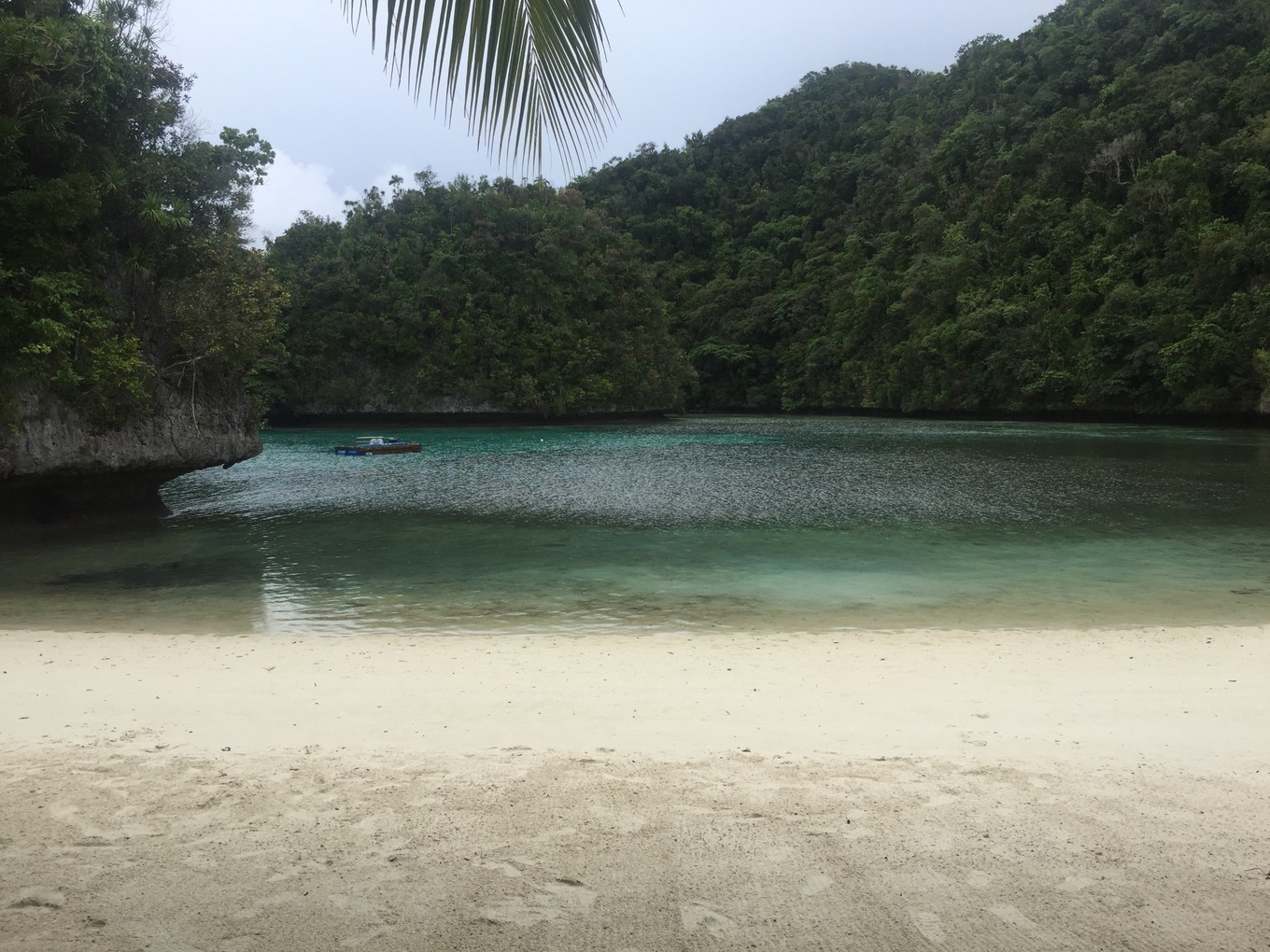 帕劳旅行攻略大全图文,帕劳旅行攻略图文大全