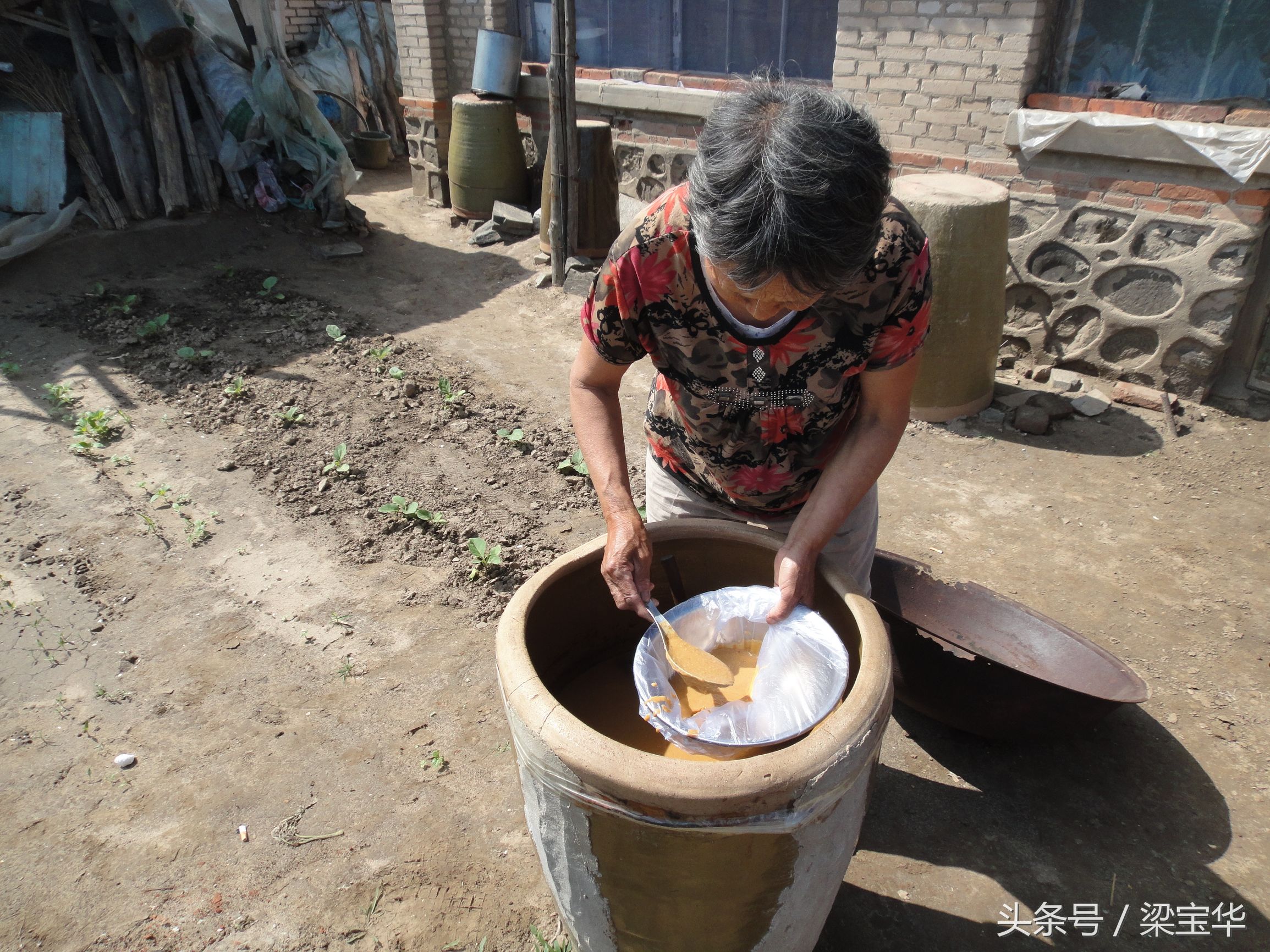 家下的大酱,东北大酱下酱全过程记录
