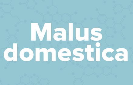 苹果的英文不是apple,苹果的英文发音是apple还是apple