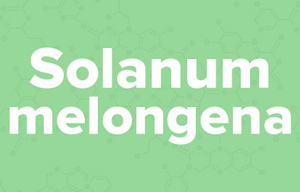 苹果的英文不是apple,苹果的英文发音是apple还是apple