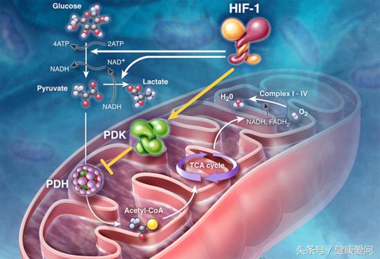 如何解决老年斑的最有效方法,解决老年斑的小妙招