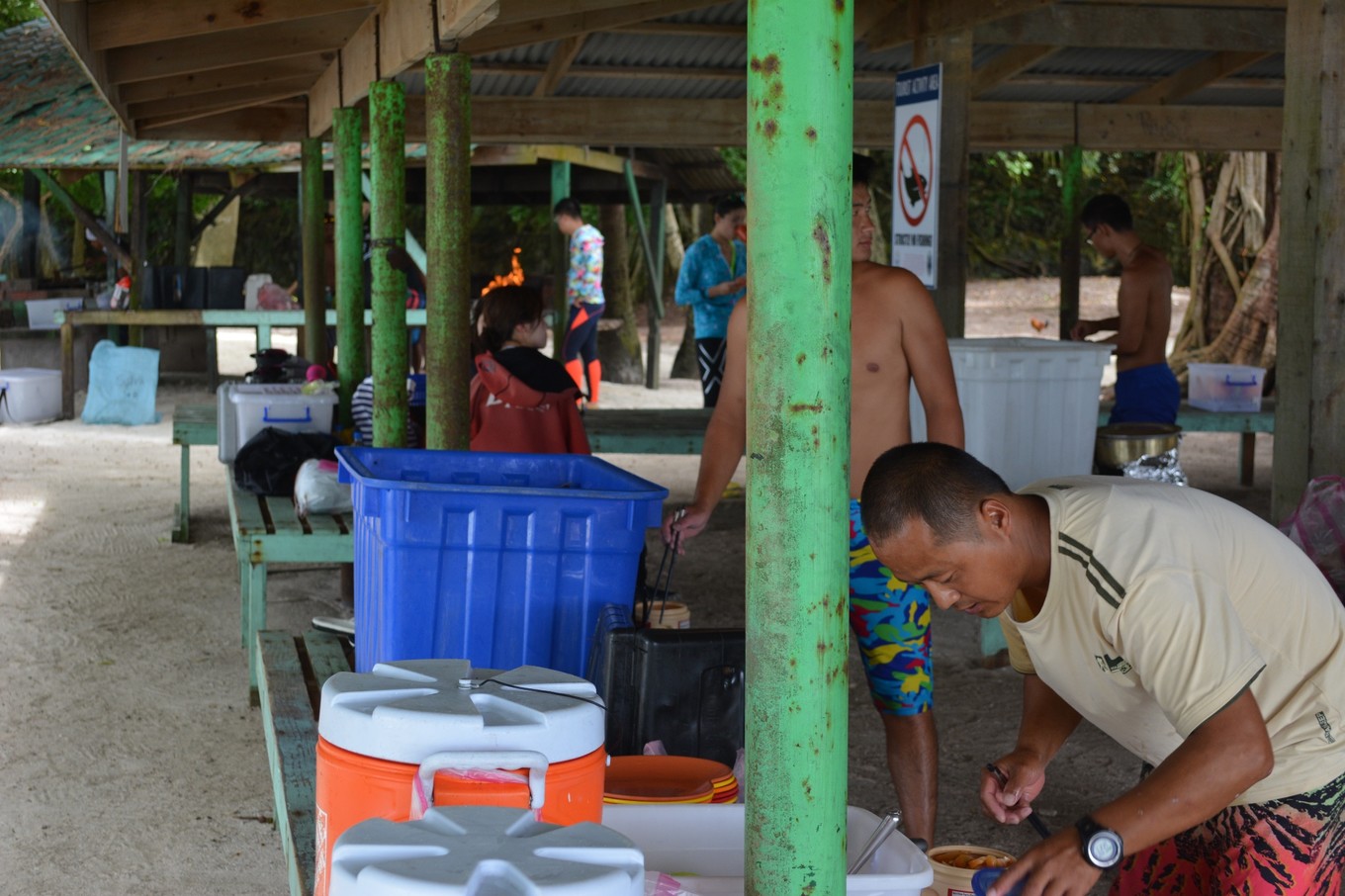 帕劳旅行攻略大全图文,帕劳旅行攻略图文大全