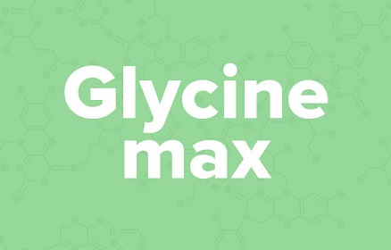 苹果的英文不是apple,苹果的英文发音是apple还是apple