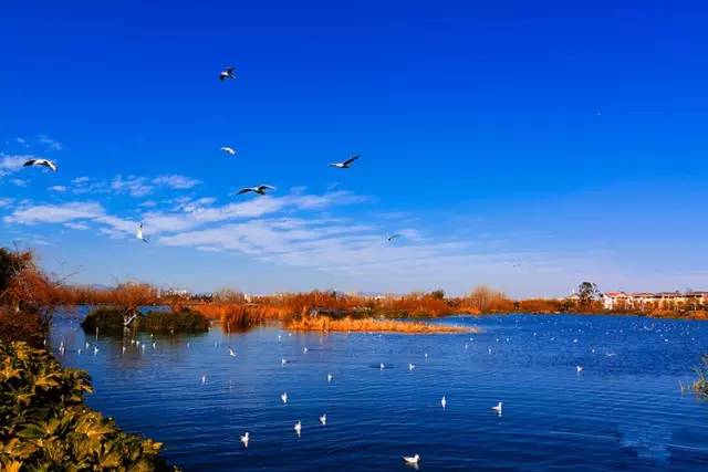 上海到南京高铁最新消息,上海到杭州高铁最新消息